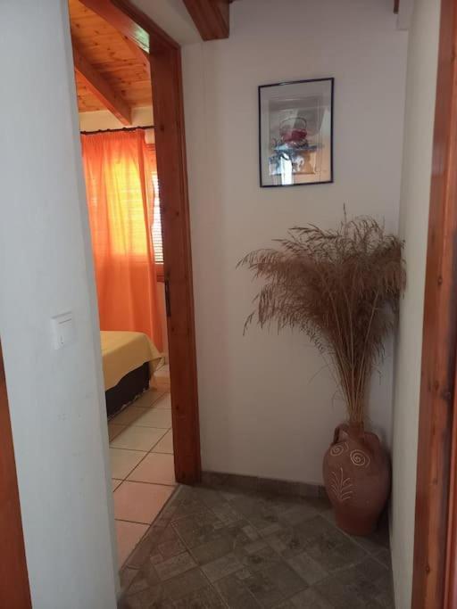 Δίχωρο Στούντιο Στον Κέντρο Του Αρμενιστή Apartman Armenisztísz Kültér fotó